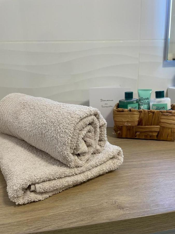 Le Tranquille - Calme - Parking Prive Apartment Ambilly Ngoại thất bức ảnh