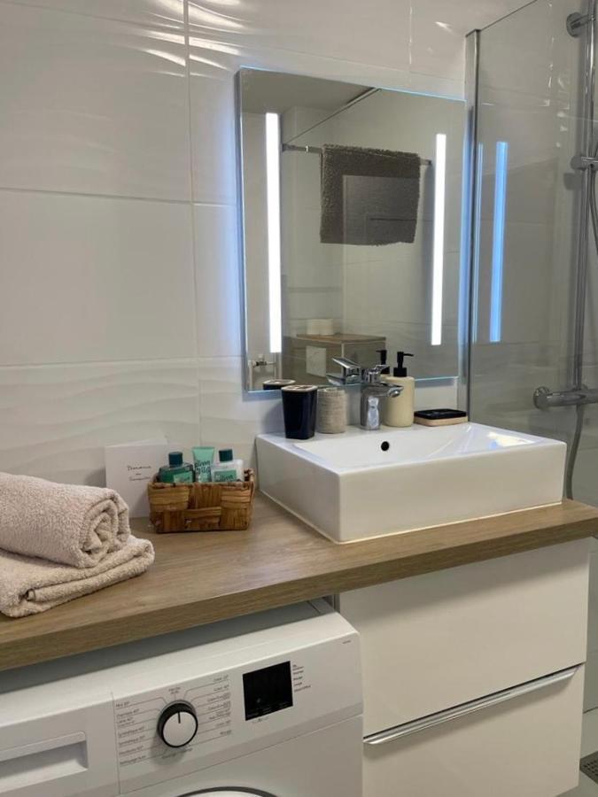 Le Tranquille - Calme - Parking Prive Apartment Ambilly Ngoại thất bức ảnh